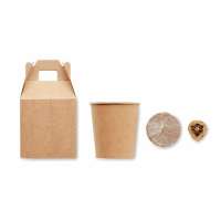 Vorschau: GROWTREE™ Kiefernsamen-Set Vorschau: GROWTREE™ Kiefernsamen-Set