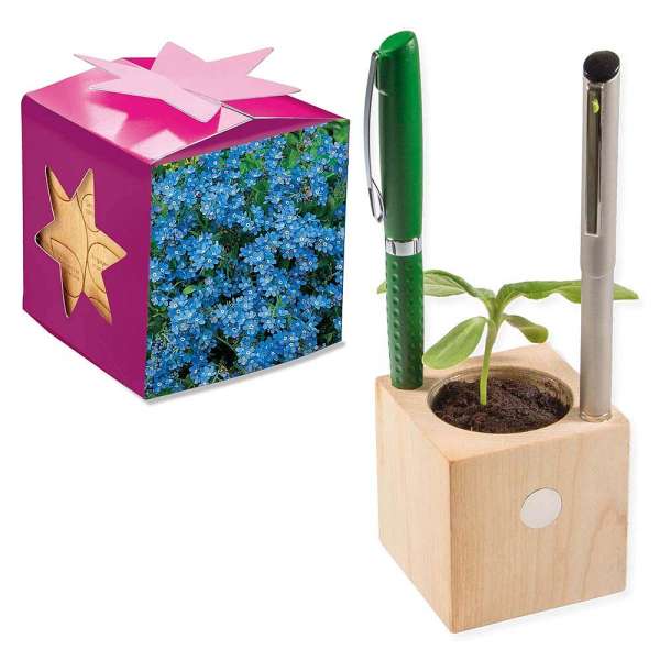 Pflanz-Holz Büro Star-Box mit Samen - Vergissmeinnicht, 1 Seite gelasert