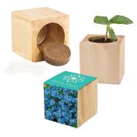 Pflanz-Holz Maxi mit Samen - Vergissmeinnicht, 2 Seiten gelasert