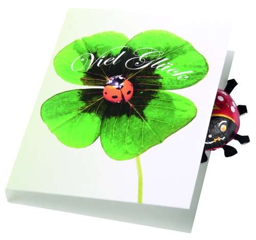 Klappkärtchen Glückskäfer