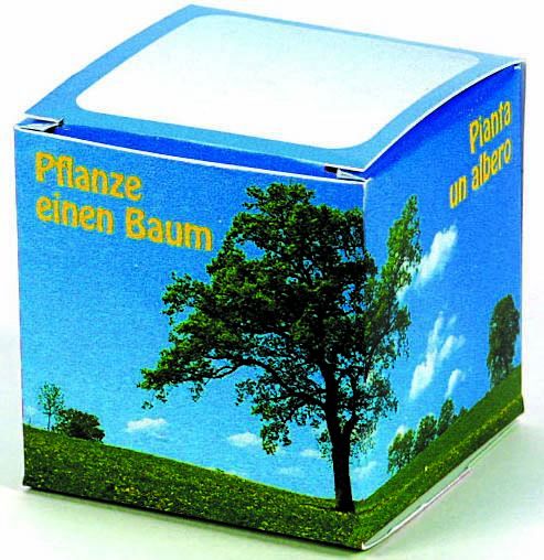 Würfel Baum Robinie (4-sprachig), 1-4 c Digitaldruck inklusive