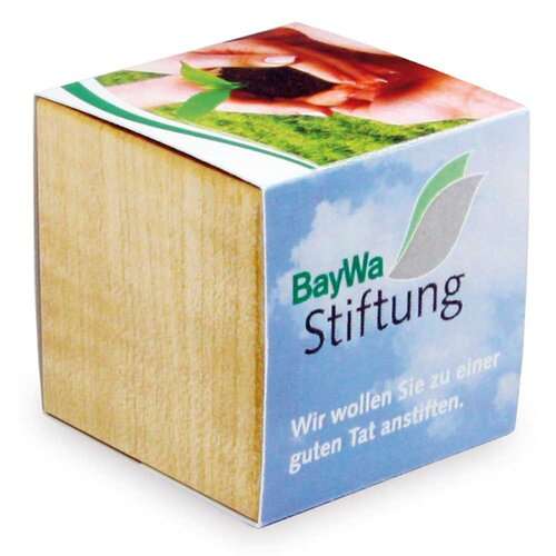 Pflanz-Holz Magnet mit Samen