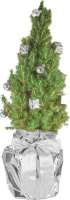 Silberglanz-Bäumchen 35-45 cm