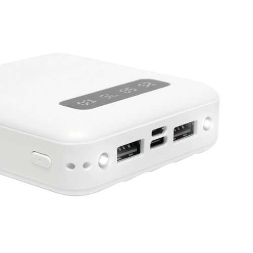 PRECIOUS - Powerbank