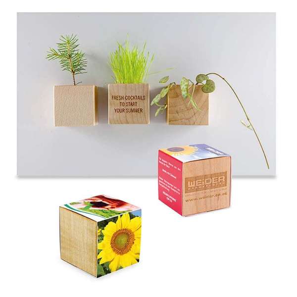Pflanz-Holz Magnet mit Samen - Sonnenblume