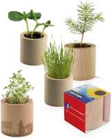 Pflanz-Holz rund individuell