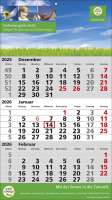 3 Monats-Wandkalender Standard 2 Plus, deutsch