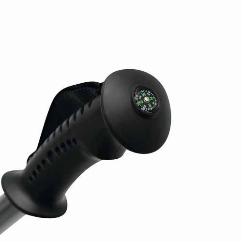 FIT AND FUN - Ausziehbare Trekking-Stöcke