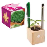 Pflanz-Holz Büro Star-Box - Gartenkresse, 2 Seiten gelasert