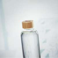 Vorschau: FRISIAN Trinkflasche Glas 650ml Vorschau: FRISIAN Trinkflasche Glas 650ml