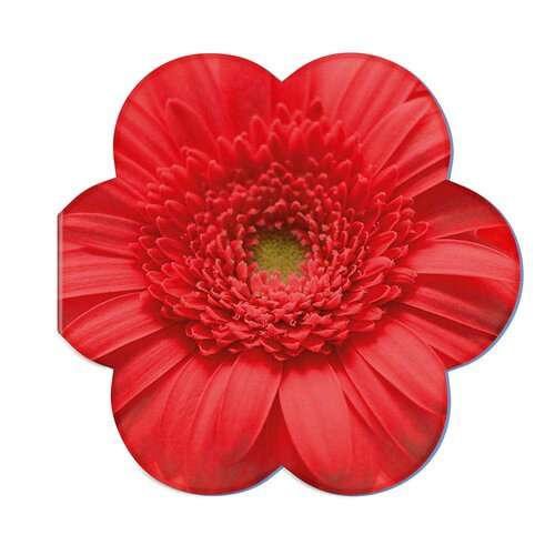 Samenpapier in Klappkärtchen Blume