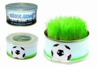 Vorschau: Zimmerarena Mini Garten Fußball, Ø 73 x 38 mm, 1-4 c Digitaldruck inklusive Vorschau: Zimmerarena Mini Garten Fußball, Ø 73 x 38 mm, 1-4 c Digitaldruck inklusive