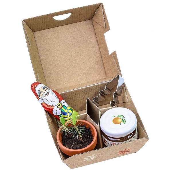 Geschenk-Set Xmas - V3 - Tontöpfchen, Schoko-Nikolaus, Backförmchen Tannenbaum und ein Gläschen Oran