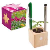 Pflanz-Holz Büro Star-Box mit Samen - Sommerblumenmischung, 1 Seite gelasert