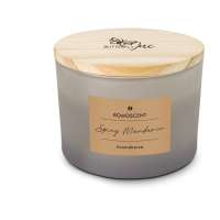 Vorschau: ROMOSCENT® Aromakerze Spicy Mandarin Vorschau: ROMOSCENT® Aromakerze Spicy Mandarin
