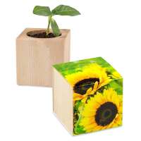 Pflanz-Holz - Standardmotiv - Sonnenblume - 2 Seiten gelasert