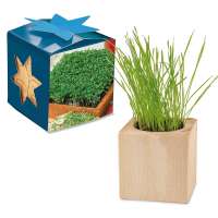 Pflanz-Holz Maxi Star-Box - Gartenkresse, 1 Seite gelasert