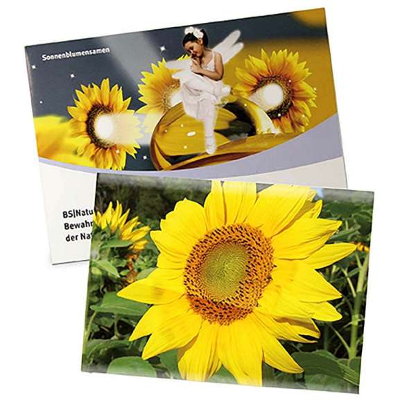 Samentütchen Groß - Standardpapier - Sonnenblume