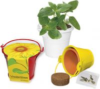 Vorschau: Sonnen-Eimerchen, Zwergsonnenblume, 1-4 c Digitaldruck inklusive Vorschau: Sonnen-Eimerchen, Zwergsonnenblume, 1-4 c Digitaldruck inklusive