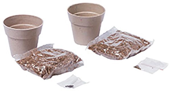 Silta Pflanz-Set
