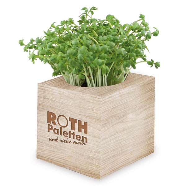 Pflanz-Würfel 2.0 mit Samen - Weihnachten - Glücksklee-Zwiebeln (* Je nach Verfügbarkeit der Glücksk