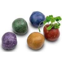 Vorschau: Bunte Mini Flower-Balls mit Samen Vorschau: Bunte Mini Flower-Balls mit Samen