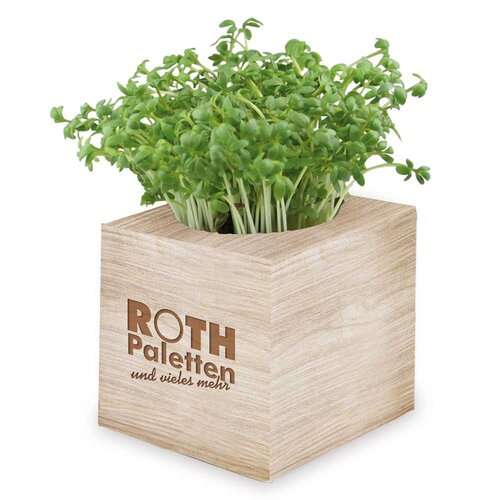 Pflanz-Würfel 2.0 mit Samen - Weihnachten