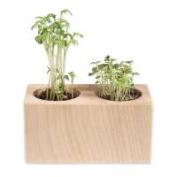 Vorschau: Pflanz-Holz 2er Set mit Samen - Sommerblumenmischung Vorschau: Pflanz-Holz 2er Set mit Samen - Sommerblumenmischung