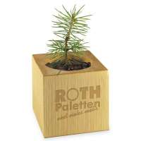 Vorschau: Pflanz-Holz - Standardmotiv - Frohe Weihnachten Vorschau: Pflanz-Holz - Standardmotiv - Frohe Weihnachten