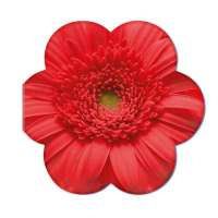 Vorschau: Samenpapier in Klappkärtchen Blume Vorschau: Samenpapier in Klappkärtchen Blume