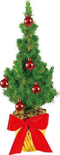 Festliches Bäumchen rot 20-30 cm