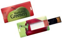 4GB Memory-Stick Mini-Card 2.0