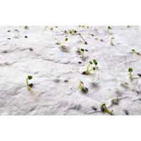 Vorschau: ASIDO DIN A6 Wildblumen-Samenpapier Vorschau: ASIDO DIN A6 Wildblumen-Samenpapier