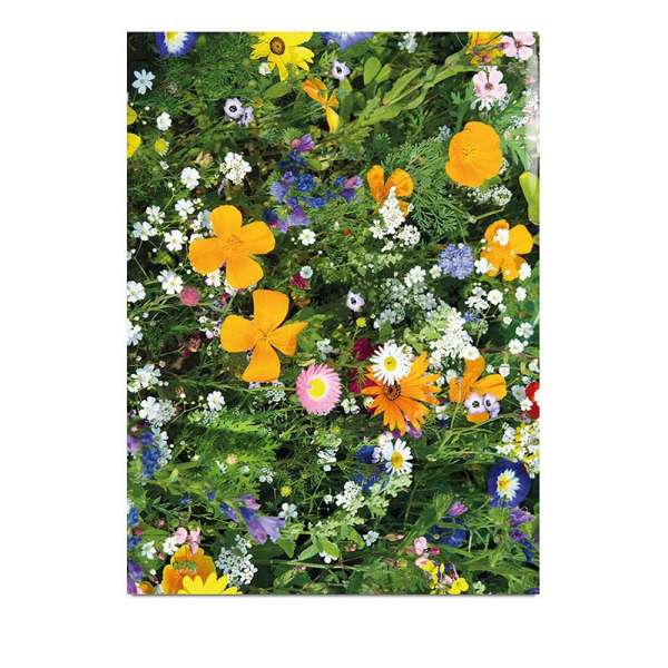 Samentütchen - Standardmotiv - Sommerblumenmischung