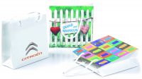 Express Papiertragetaschen in max. 5 Tagen