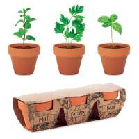 FLOWERPOT Terracotta-Set Kräuter