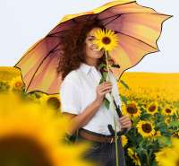 Vorschau: AC-Stockschirm FARE® Motiv Vorschau: AC-Stockschirm FARE® Motiv