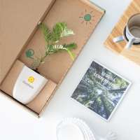 Vorschau: Treemore Briefkastenbäume Mammutbaum Vorschau: Treemore Briefkastenbäume Mammutbaum