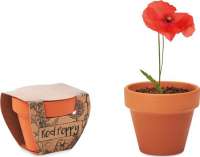 RED POPPY Terracotta-Topf Mohnblume