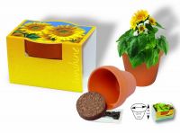 Vorschau: Tontöpfchen Sonne, Zwergsonnenblume, 1-4 c Digitaldruck inklusive Vorschau: Tontöpfchen Sonne, Zwergsonnenblume, 1-4 c Digitaldruck inklusive