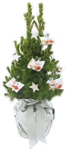 Kristall-Bäumchen 35-45 cm