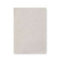 Vorschau: ASIDO DIN A6 Wildblumen-Samenpapier Vorschau: ASIDO DIN A6 Wildblumen-Samenpapier
