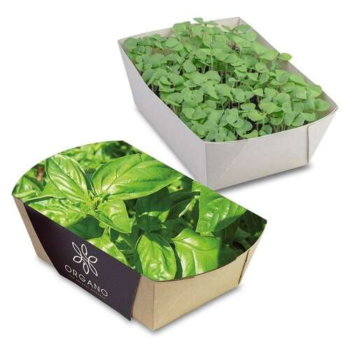 Pflanz-Schale mit Samen