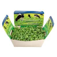 Vorschau: Pflanzodrom mit Samen Vorschau: Pflanzodrom mit Samen