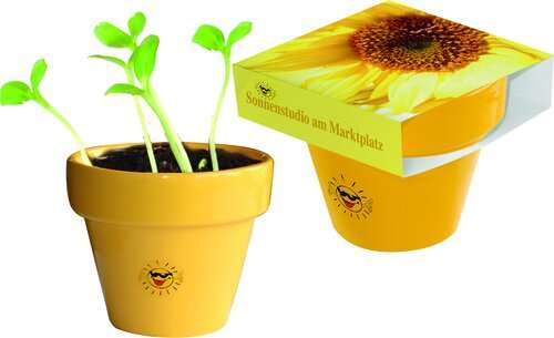 Tontopf Colour Sonne