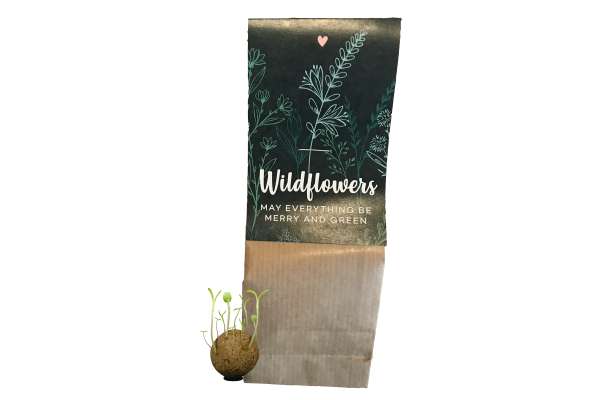 5 Seedbombs im Papiertütchen - Bienen &amp; Schmetterlinge