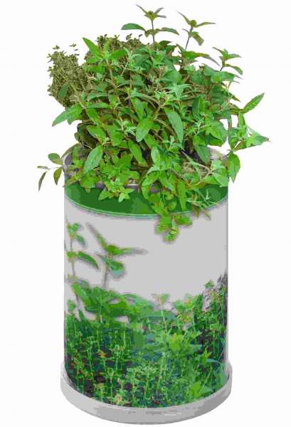 Blumendose Power Ø 65 x 90 mm, Kräutermischung