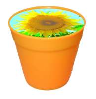 Business Töpfchen Sonne