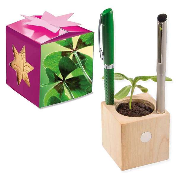 Pflanz-Holz Büro Star-Box mit Samen - Glücksklee-Zwiebel, 1 Seite gelasert (* Je nach Verfügbarkeit