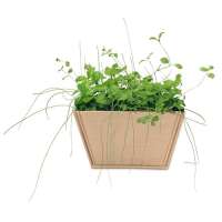 Vorschau: Mini-Beet mit Samen Vorschau: Mini-Beet mit Samen